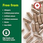 Organika Canadian-Made Korean Ginseng rouge - 6 Roots de l'année, soutien énergétique, support du stress, effet de réchauffement 200caps