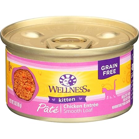 wellness kitten pate