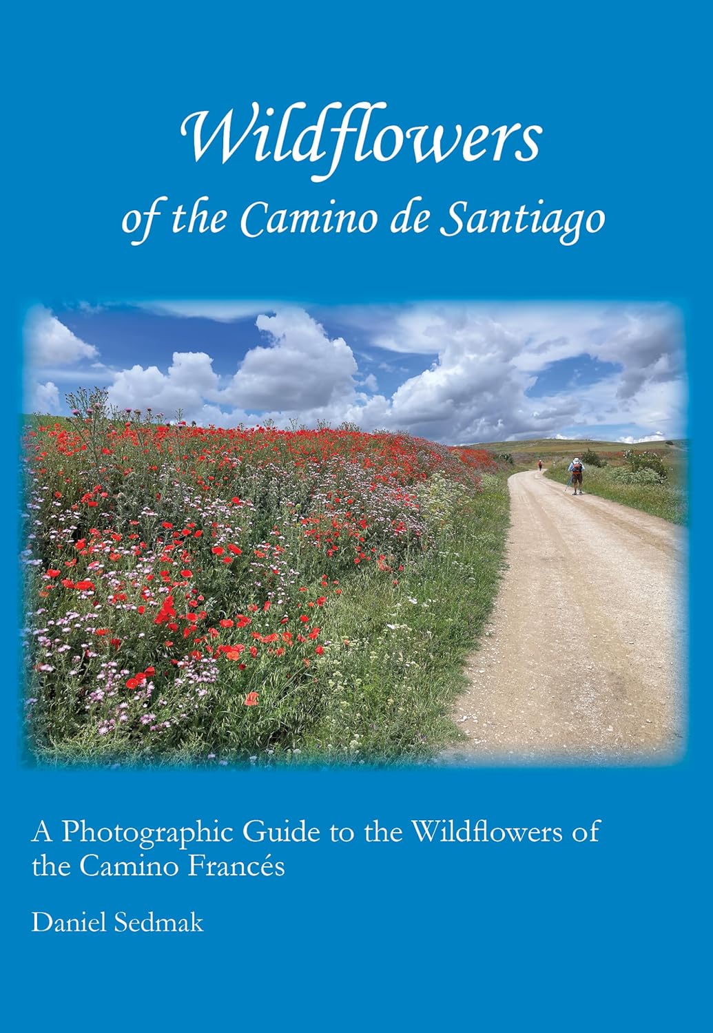 Wildflowers of the Camino de Santiago: A Photographic Guide to the Wildflowers of the Camino Francés      [Print Replica] Kindle Edition