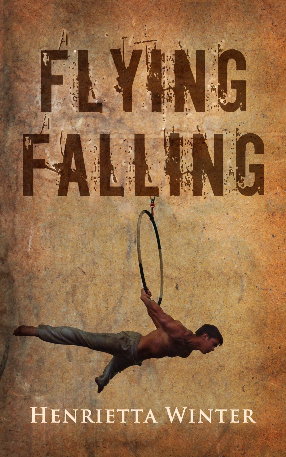 Flying Falling (German Edition)