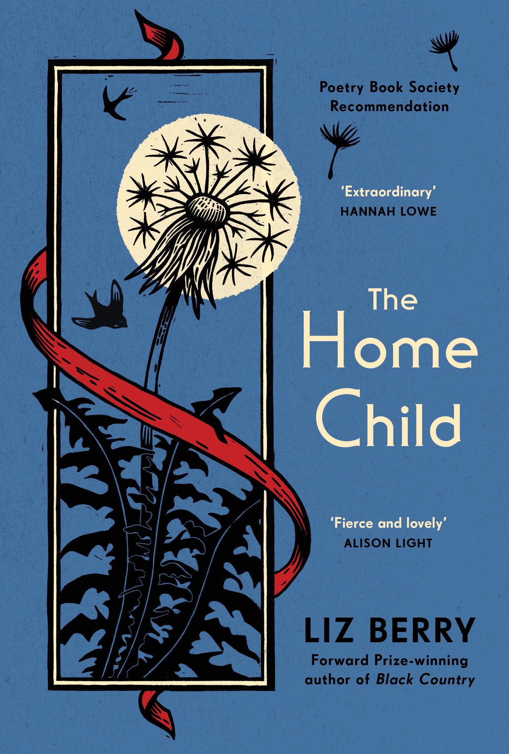 The Home Child: from the Forward Prize-winning author of Black Country