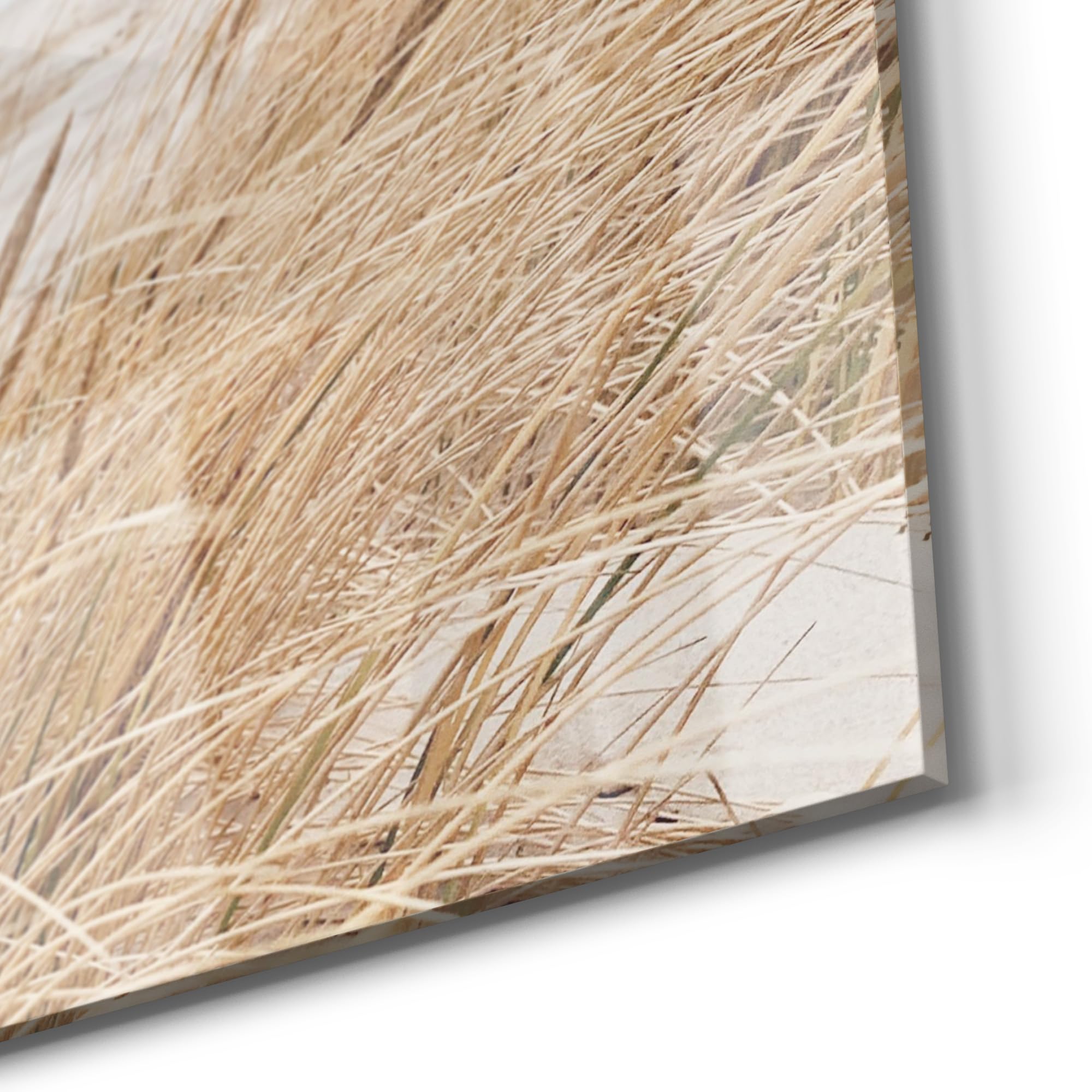 DEQORI Glas-Magnettafel | 60x40 cm cm groß | Motiv Winterstrand Stille | Memo-Board aus Glas | Magnetboard inkl. Magnete, Stift & Tuch für Küche & Büro | Tafel magnetisch & beschreibbar