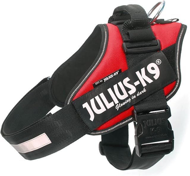 Julius-K9, 16IDC-R-1, IDC Powerharness, dog harness, Size: L/1, Red