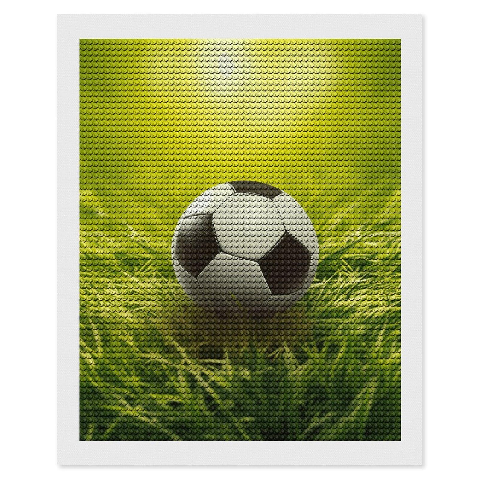NONHAI Diamond Painting Kits for Adults - DIY Diamond Art Kits for Beginners - Full 5D Paint Drill Diamond Dots Paintings- Football on Grass Diamonds Pictures Gem Art and Craft Wall Decor 16"x20"