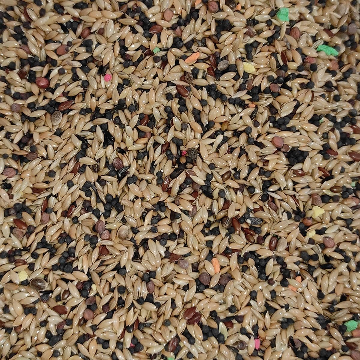 Miscela di semi senza avena 20kg per canarini 100% naturale - Arricchito con vitamine - Nutrizione completa e bilanciata - Prodotto in Spagna