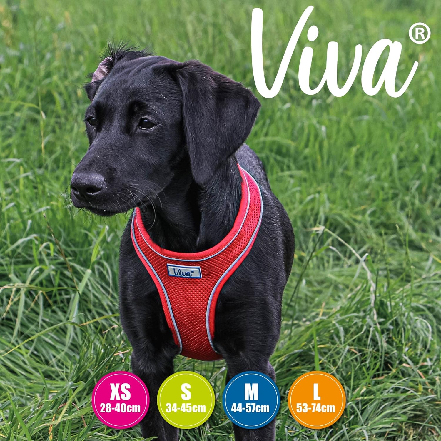 Ancol Simply Comfortable Padded Breathable Mesh Red Dog Harness Pet Training Accessory 44-57 cm, Medium 6 81rDmSVpq3L. AC SL1500