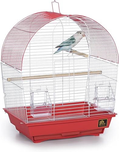 Prevue Pet Products South Beach Dome Top Bird Jaula, Coral (SP50100)