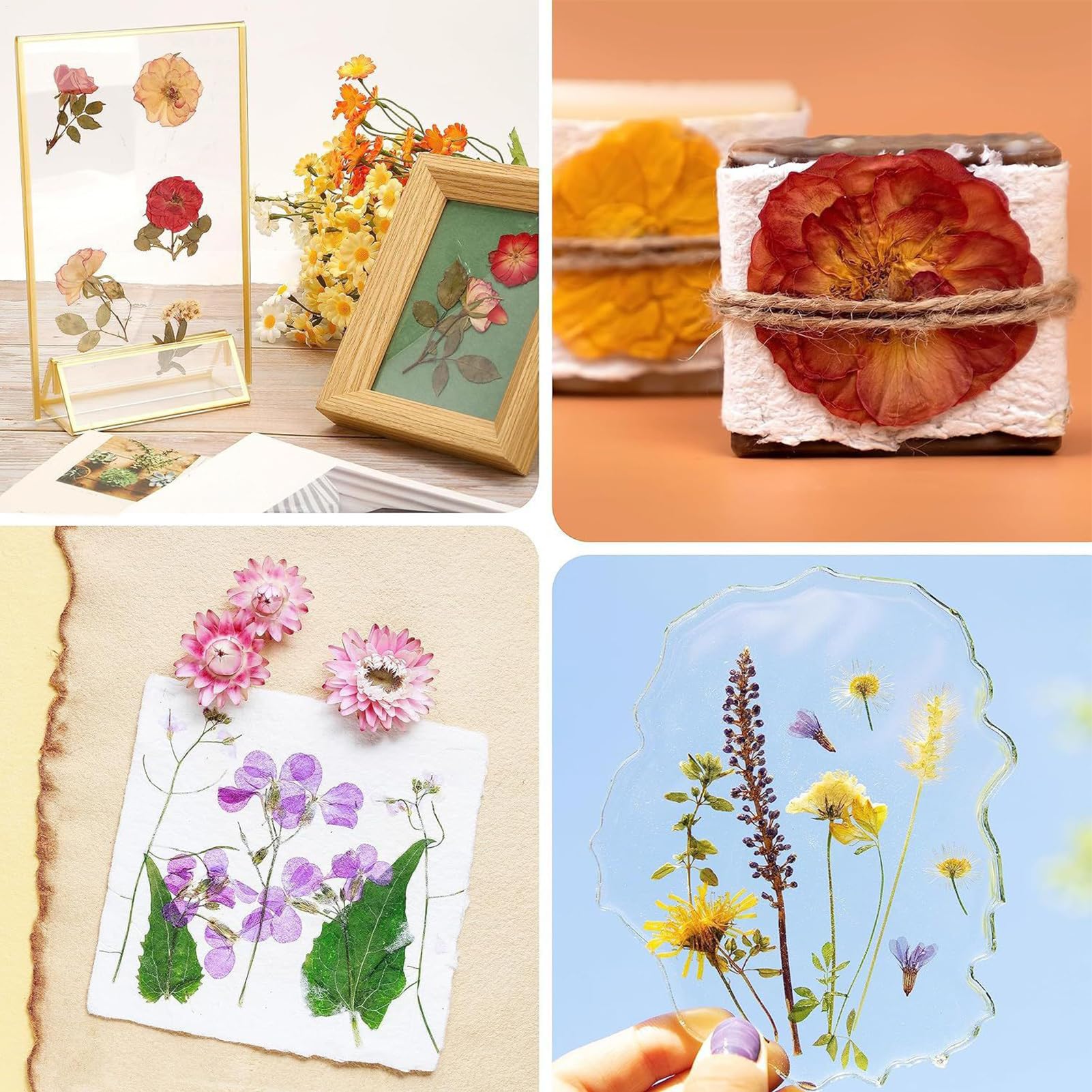 Genérico Kit de Flores Prensadas - Herramienta de Madera para Plantas Secas | Herramienta de Secado de 28x28 cm 10 Capas para Manualidades Adultos Niños Elaboración de Marcadores