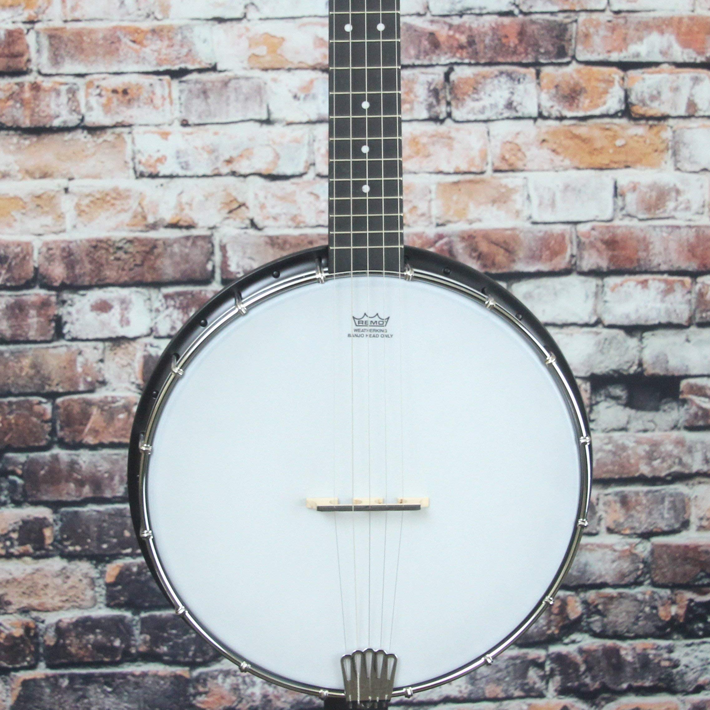 GOLD TONE トラベル　バンジョー　AC-Traveler 5弦 AC-Traveler: Travel-Scale Composite 5-String Banjo with Gig