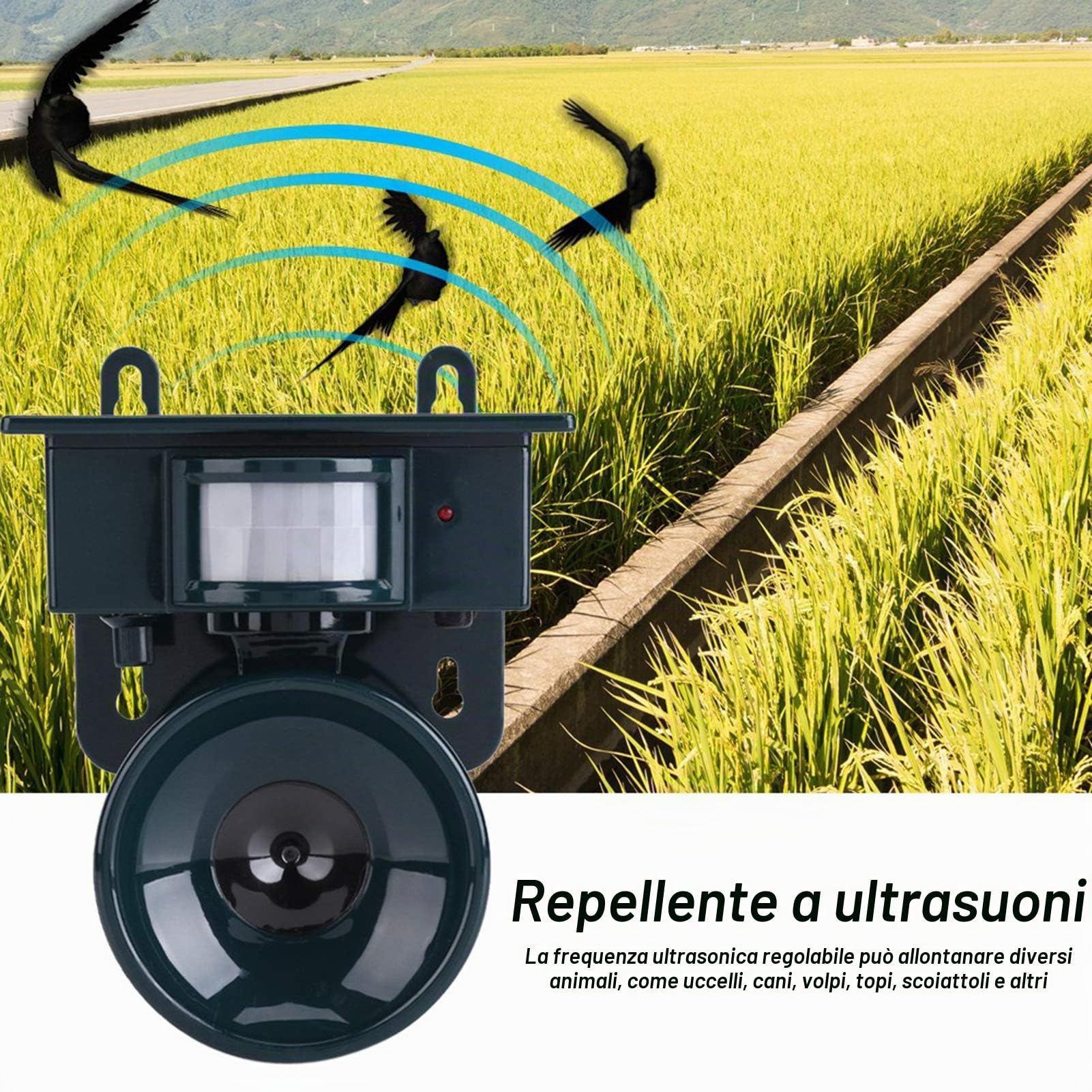 Repellitore ad ultrasuoni Repellitore ad ultrasuoni per uccelli, Sensore di movimento PIR ad energia solare Repellente ad ultrasuoni Cane Gatto Volpe Cacciatore di topo