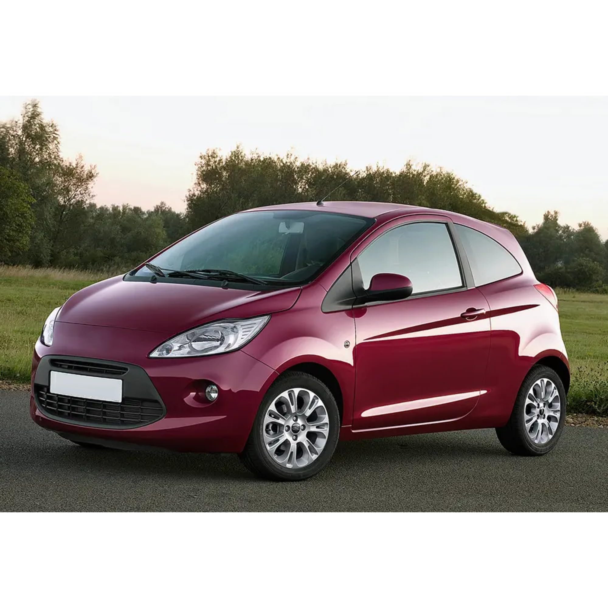 2x Molle a Gas Compatibile con Ford KA Mk2 2008-2016. Ammortizzatore Pistoncini Cofano Posteriore Sostituzione per 51794232 e altri.