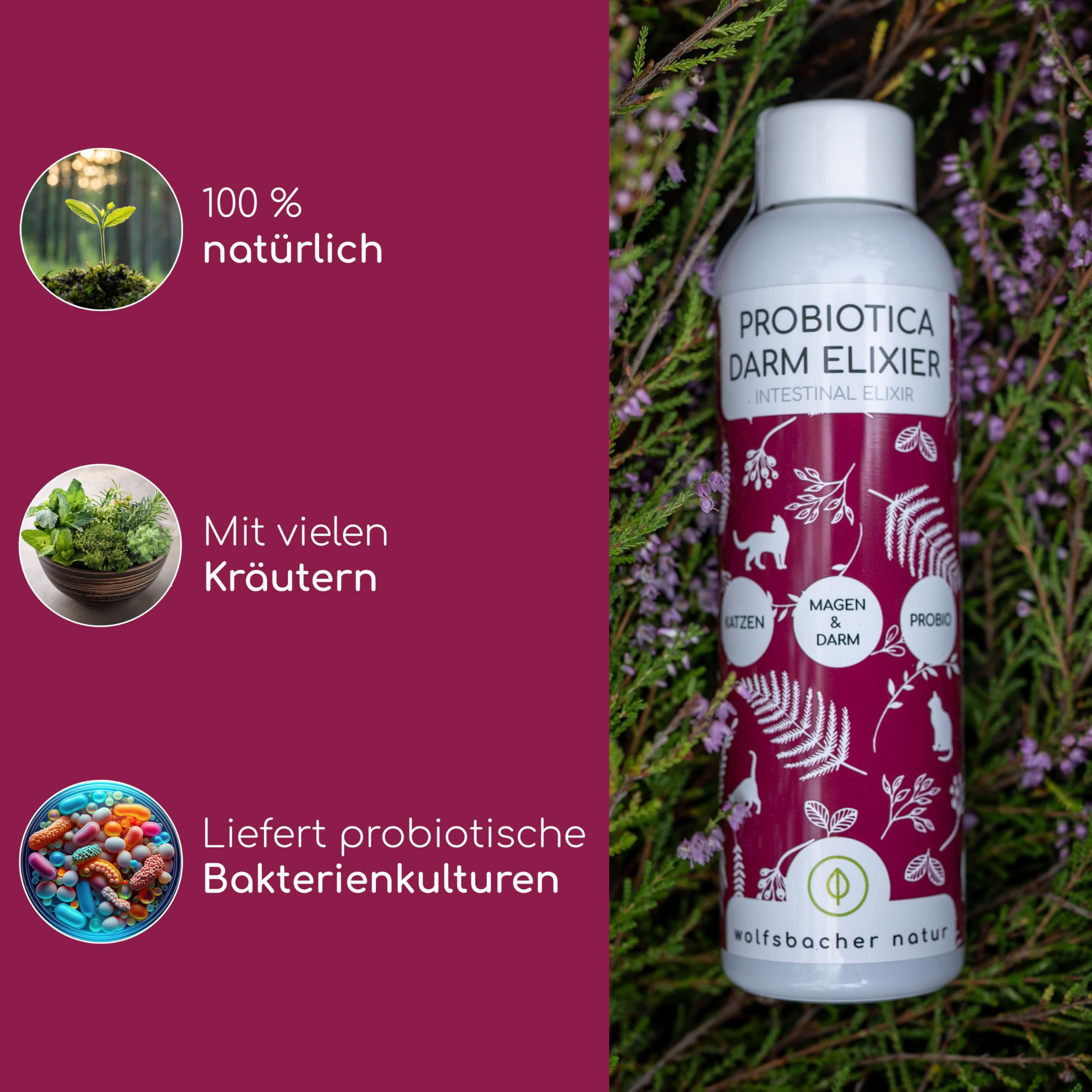 Cura intestinale probiotica per gatti - Supporta la salute intestinale - 100% naturale - Favorisce una sana digestione - 150ml