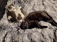 Review Image by Mizhak