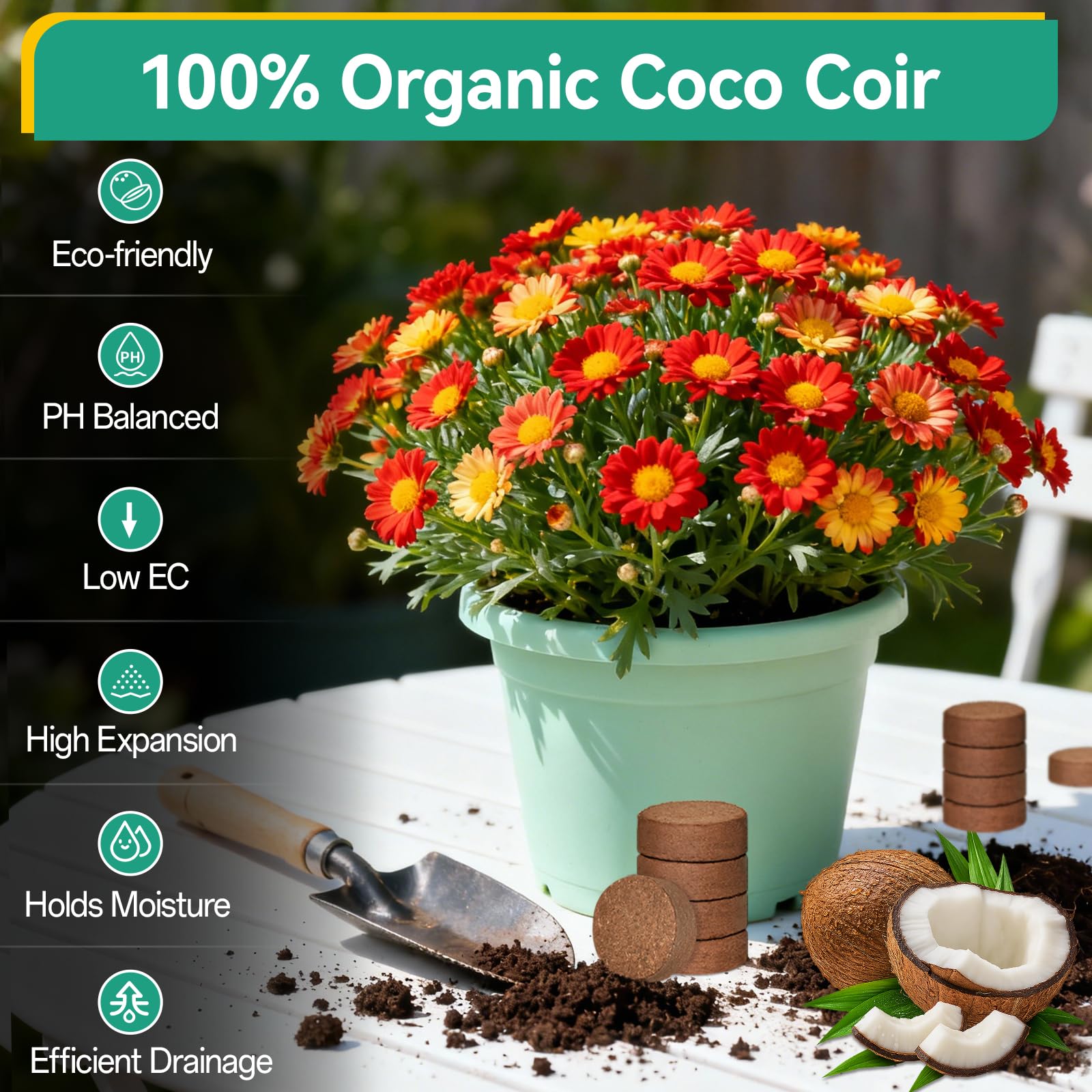 ZeeDix 100 piezas (30 mm) de tierra comprimida de fibra de coco para macetas, fibra de coco mediana, tierra de coco para plantar en interiores o exteriores, bonsái, hierbas, plantas, flores y verduras