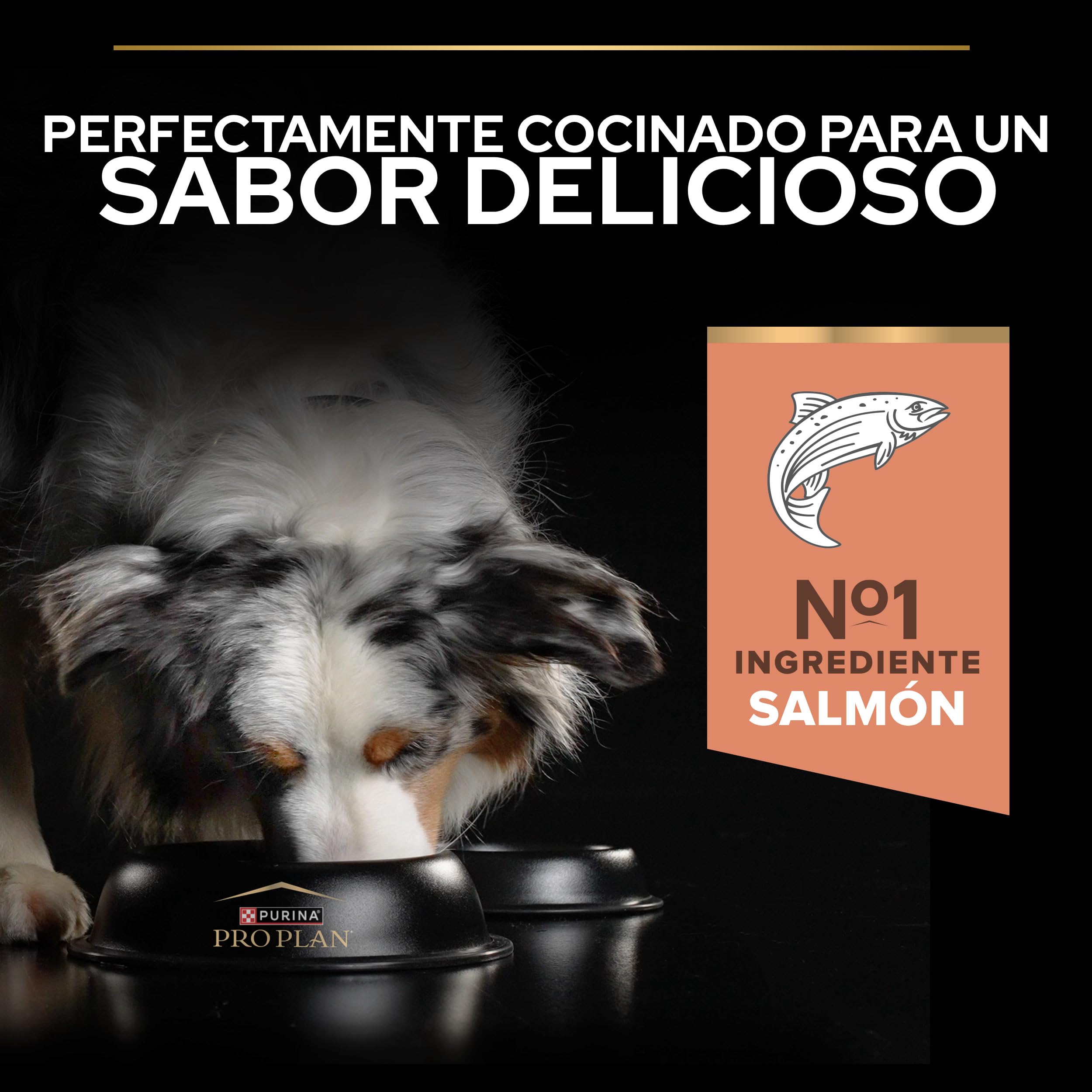 Purina Pro Plan Medium Adult Derma Pienso para Perro Mediano Adulto, Piel y Pelaje con Salmón, Saco de 16kg
