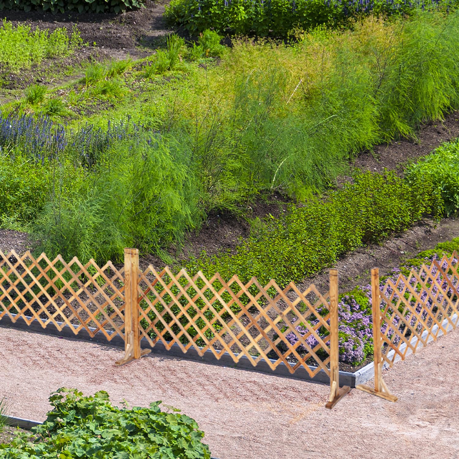 View 7