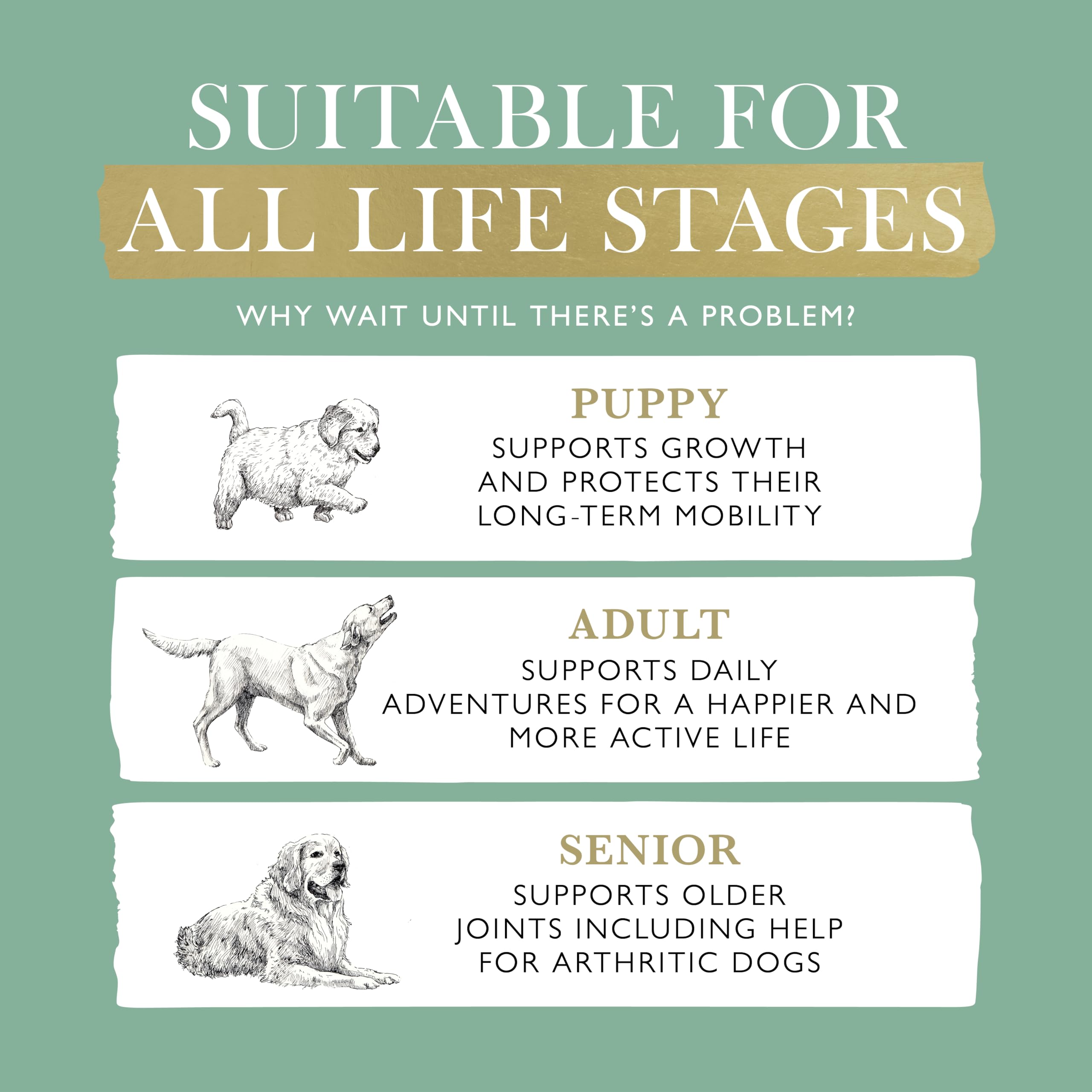 View 4