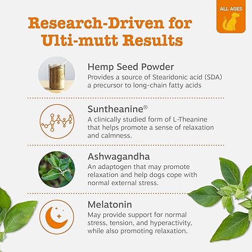 Miniatura 3 de Zesty Paws - Masticables calmantes de cáñamo para perros, suplementos calmantes de cáñamo para perros con melatonina para el estrés, viajes