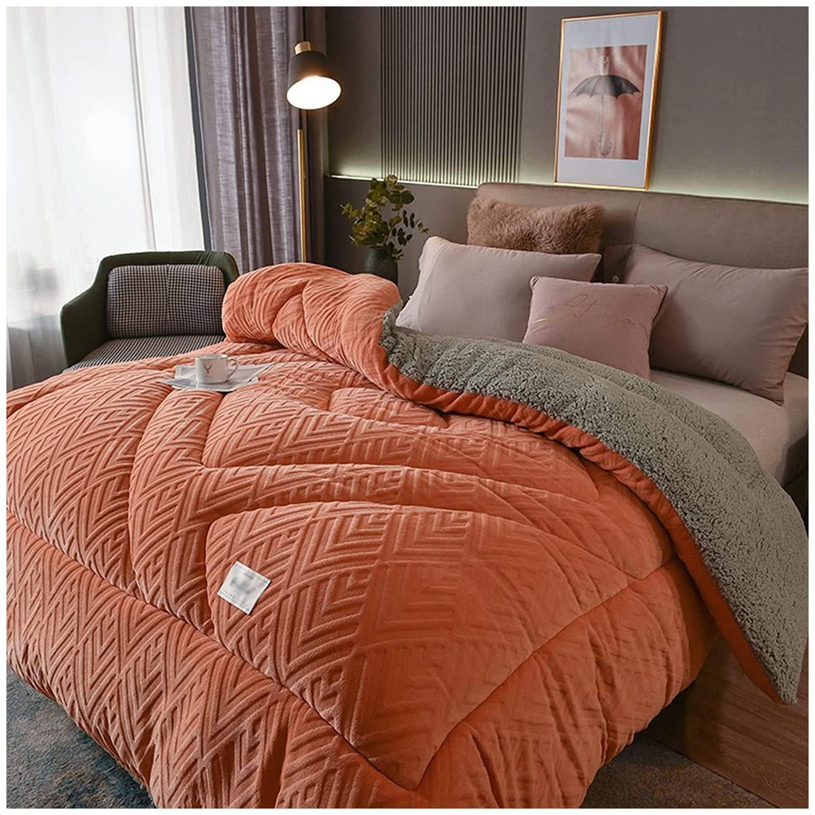 ZMIN Trapunta in Velluto di Flanella Super Calda Coperta Invernale Ponderata Trapunta in Pile A Doppia Faccia Addensata Calda Autunno Primavera Peluche Trapunta Core,B,220x240cm/5kg