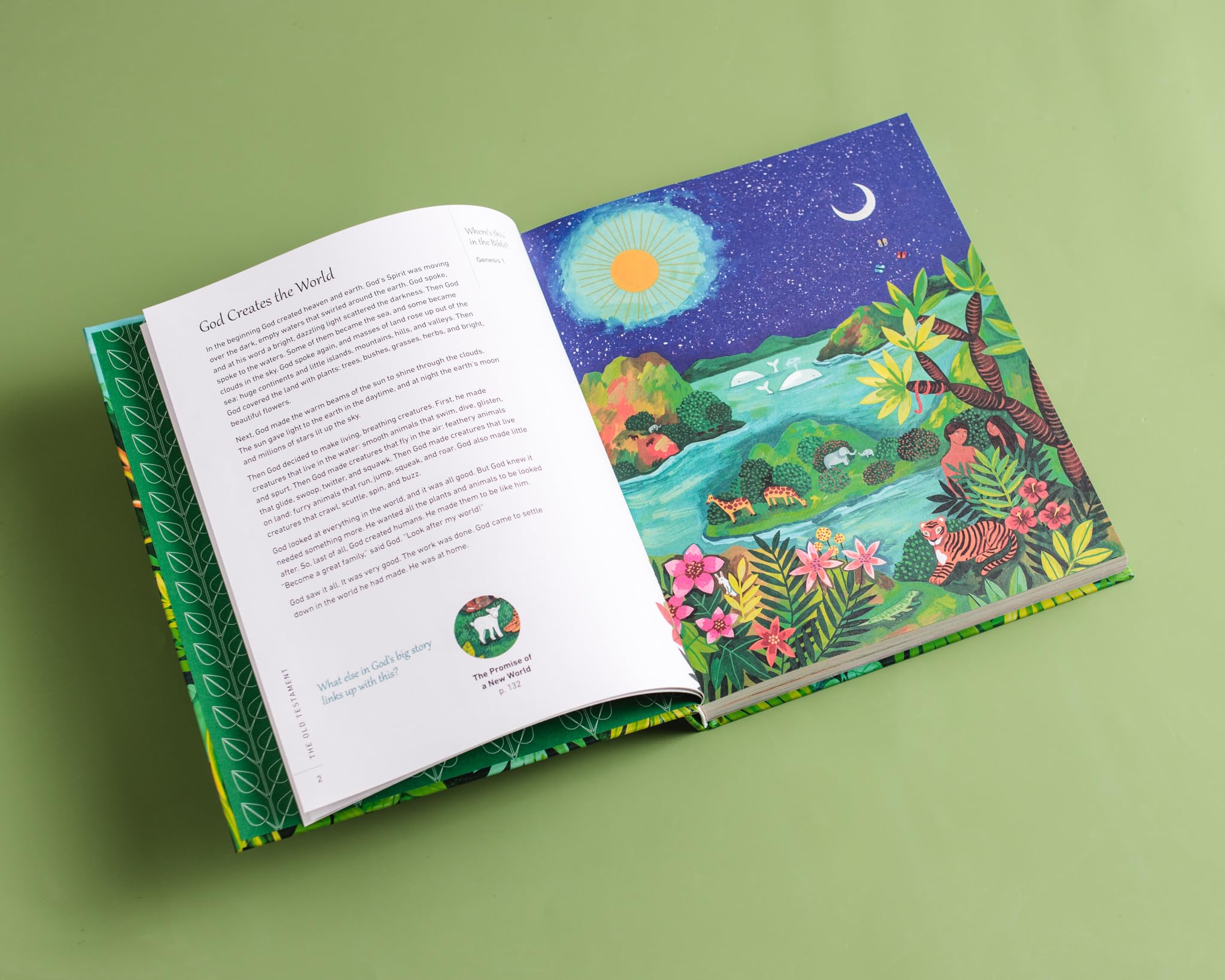 God's Big Picture Bible Storybook: 140 Connecting Bible Stories of God's Faithful Promises (God's Big Picture Bible Stories) - Image 5