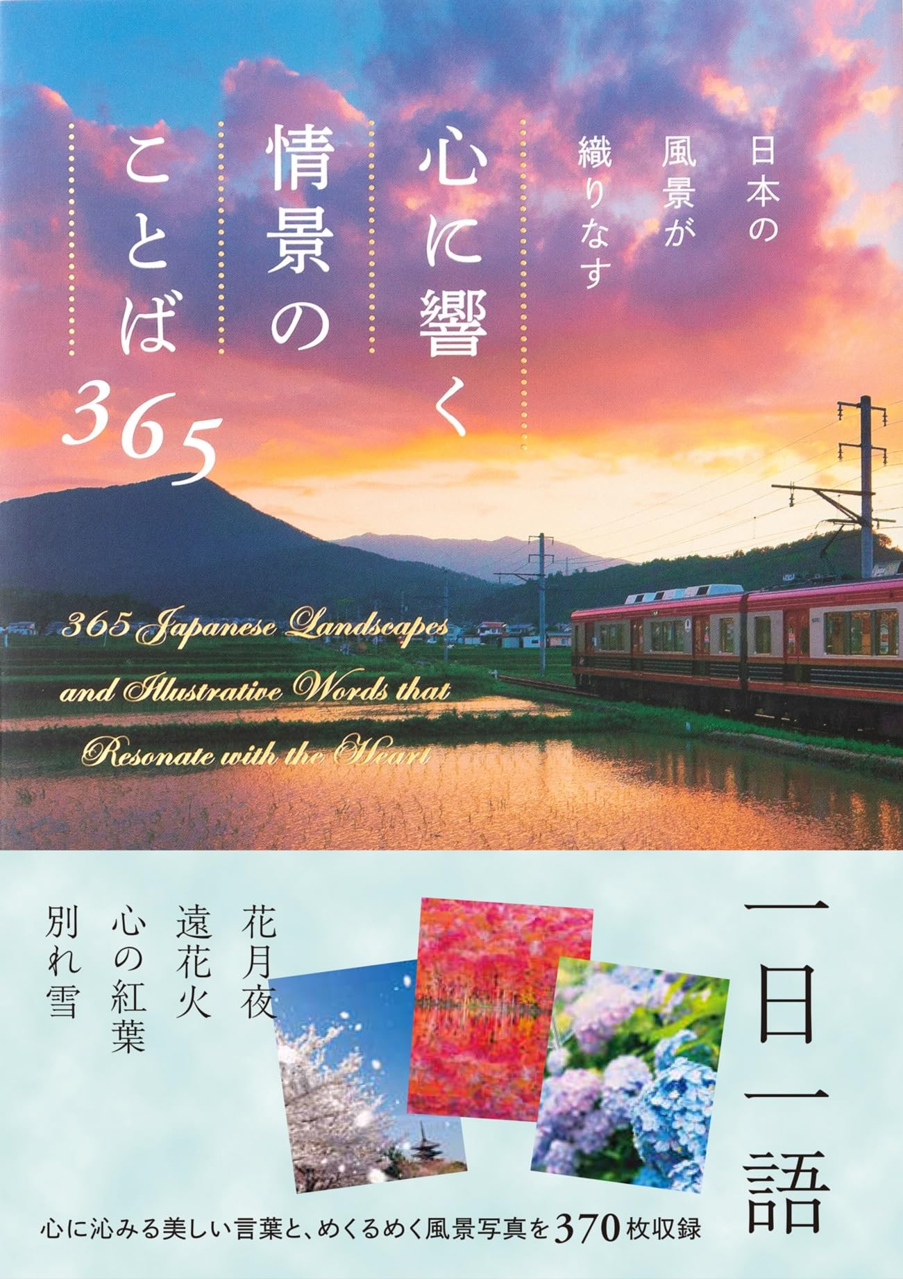風景の変容 日本語×3枚 風景の変容 3枚セット MTG 風景の変容日本語4枚セット
