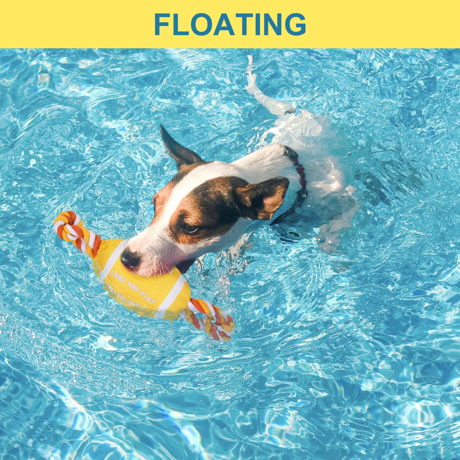 BEAUTYZOO Schwimmendes Hundespielzeug für kleine/mittelgroße Hunde – langlebiges kaubeständiges Quietschendes Wasser-Hundespielzeug mit Seil, interaktives Apportieren & Tauziehen, Sommerschwimmen