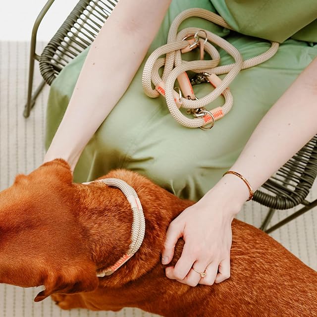 Foto 5 de 5 de HUNTER Correa ajustable para perros Malia, color: beige/natural, cuerda flexible y piel resistente