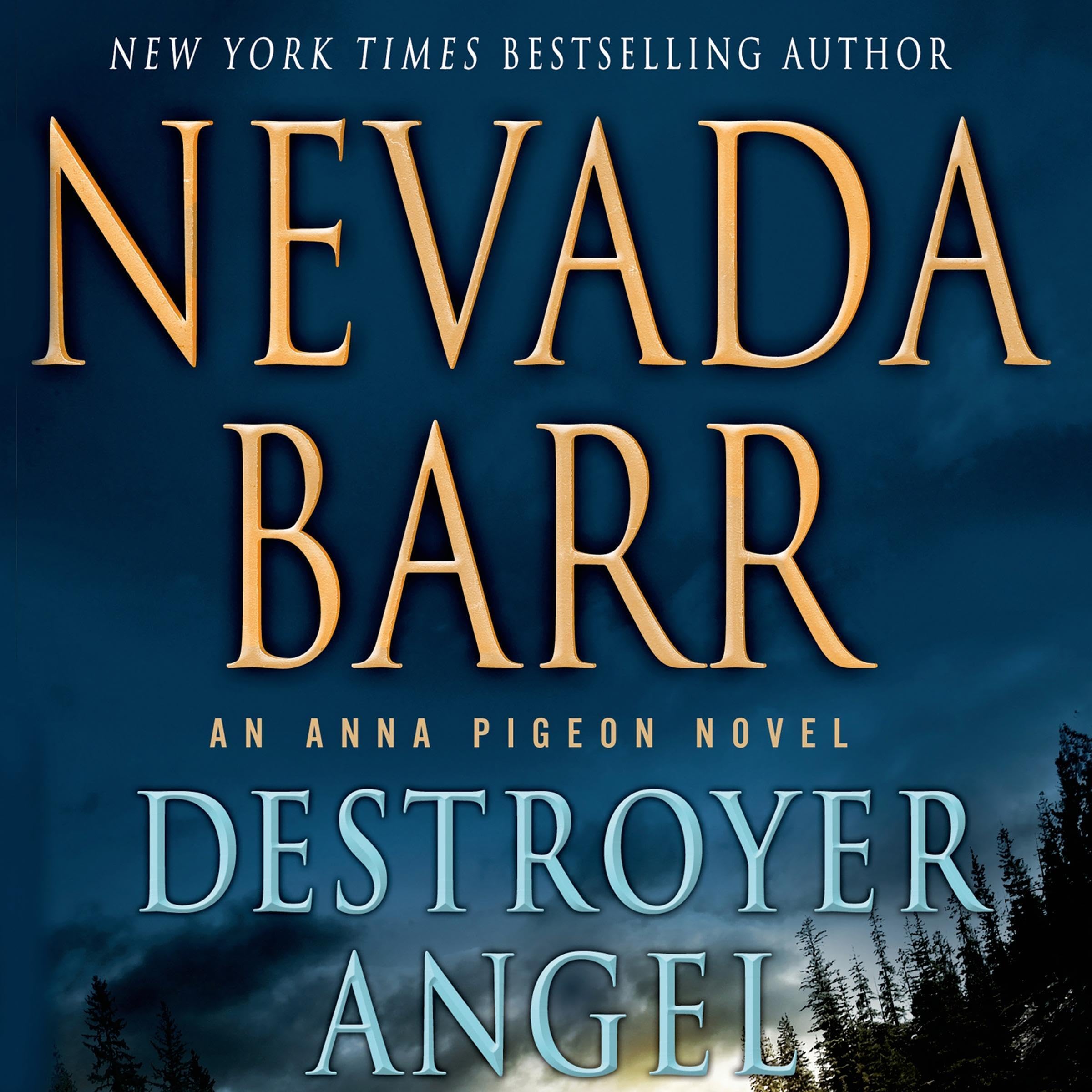 Cover art for Destroyer Angel
