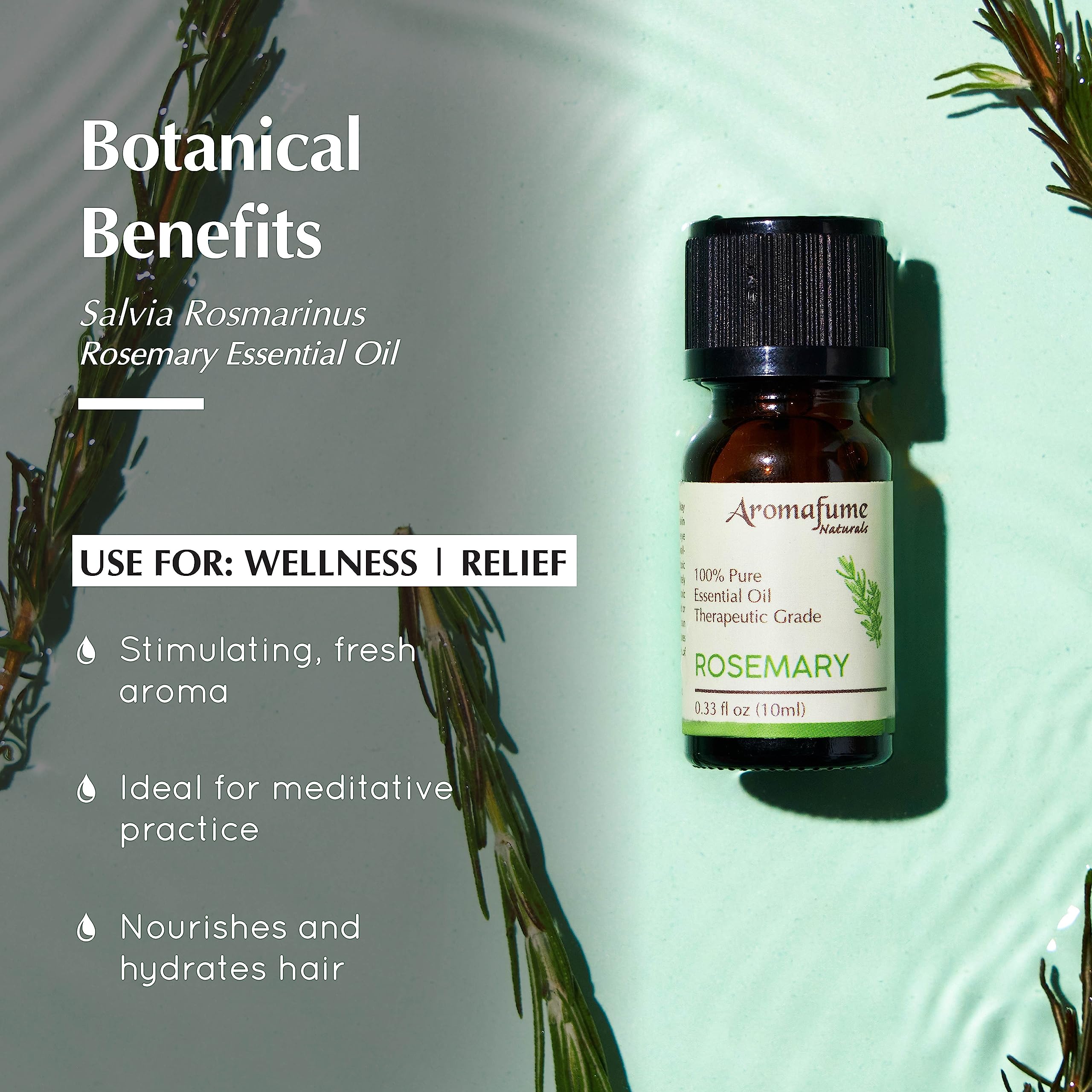 Pranarom Rozemarijn cineol bio essentiële olie 10ml kopen