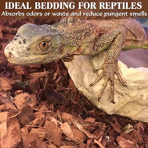Miniatura 6 de ZeeDix Sustrato de chips de fibra de coco de 10 libras para reptiles, 72 cuartos de galón de fibra de coco, sustrato de cáscara de fibra de coco,