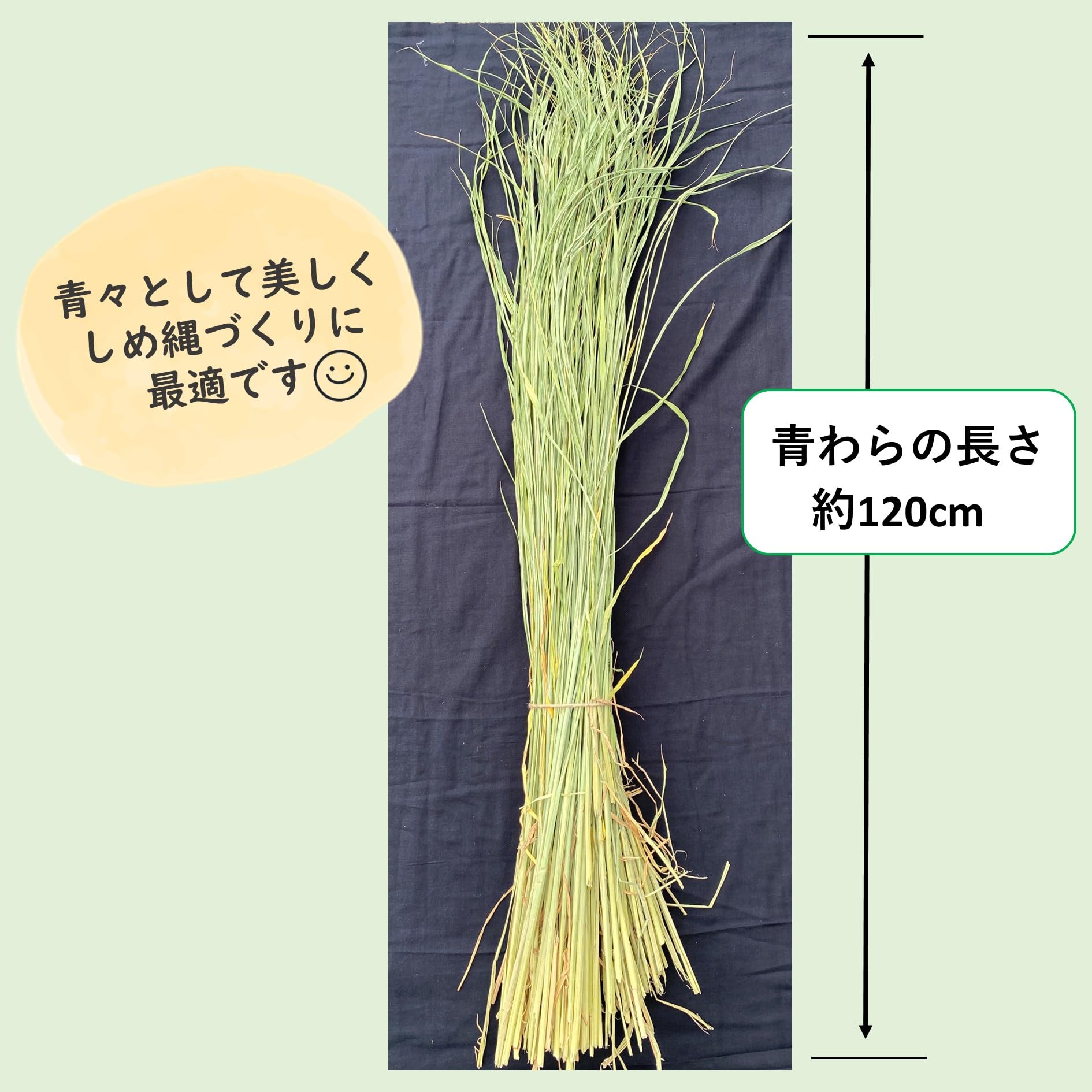 Amazon.co.jp: 令和7年度産 伊勢錦の青わら約2㎏ 新潟産の国産藁