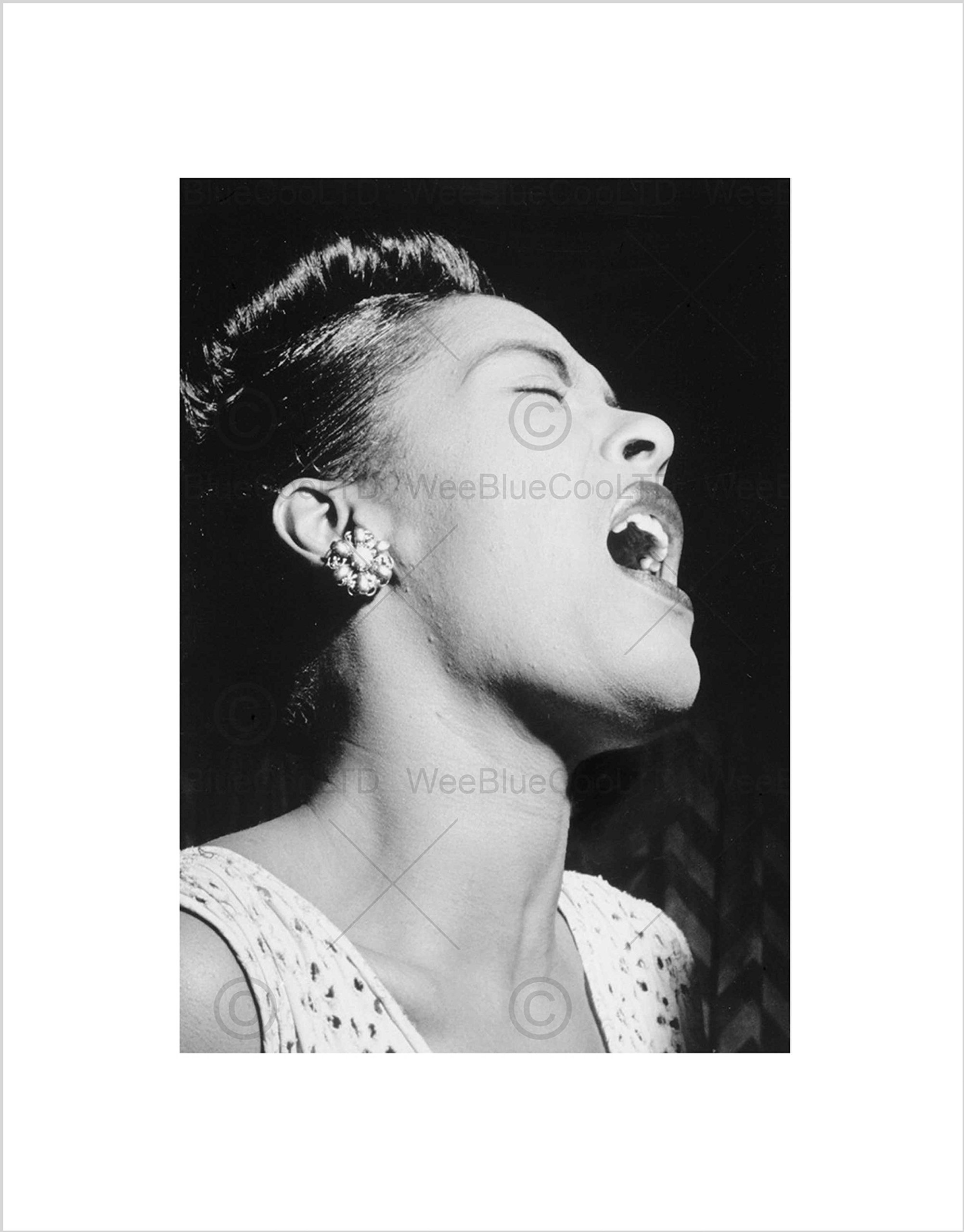 Wee Blue Coo VINTAGE BLUES JAZZ SINGER LEGEND BILLIE HOLIDAY FRAMED ART PRINT MOUNT B12X3723