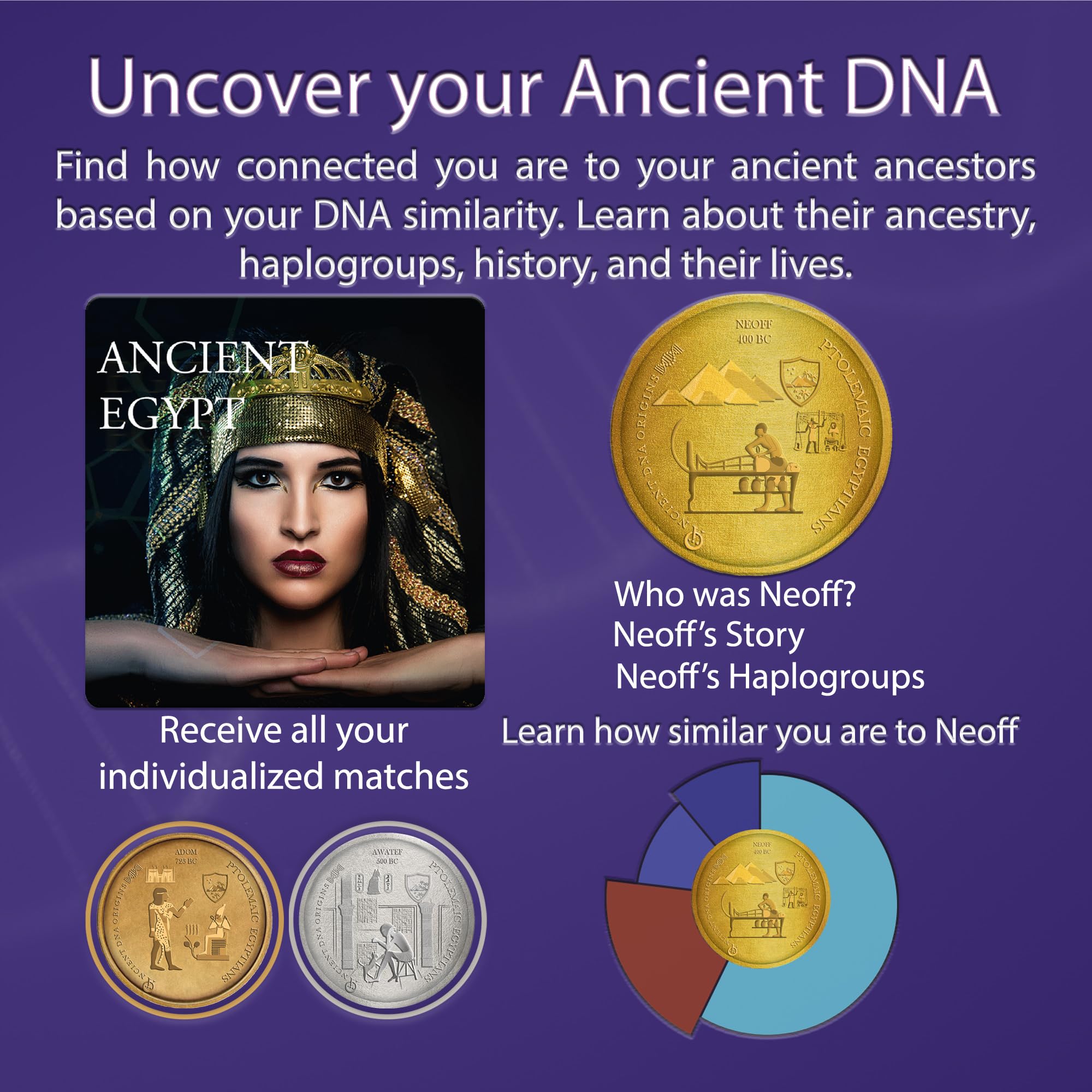Upload Your Raw Autosomal DNA File & Discover Your Heritage with The Ptolemaic Egyptians Ancestry Test by Ancient DNA Hub | Trace Tribal Roots, Historical Lineage & Ancient Migration | Digital - Image 4