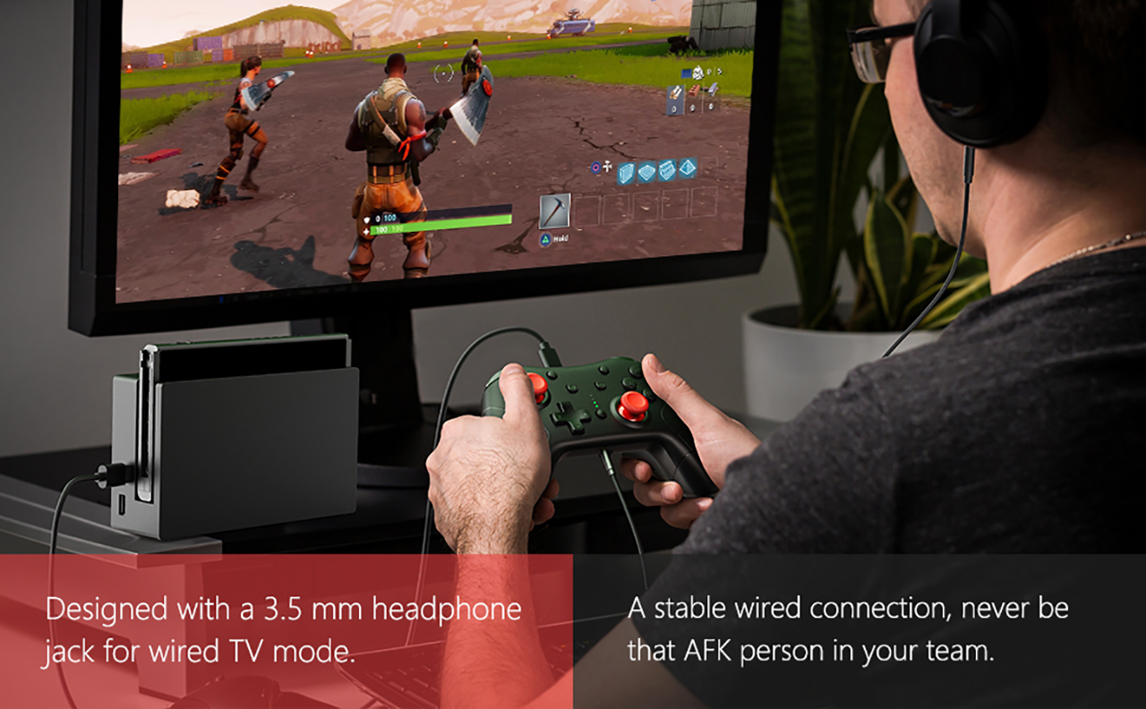 Amazon.com: Vivefox Wireless Switch Pro Controller - Switch Lite
