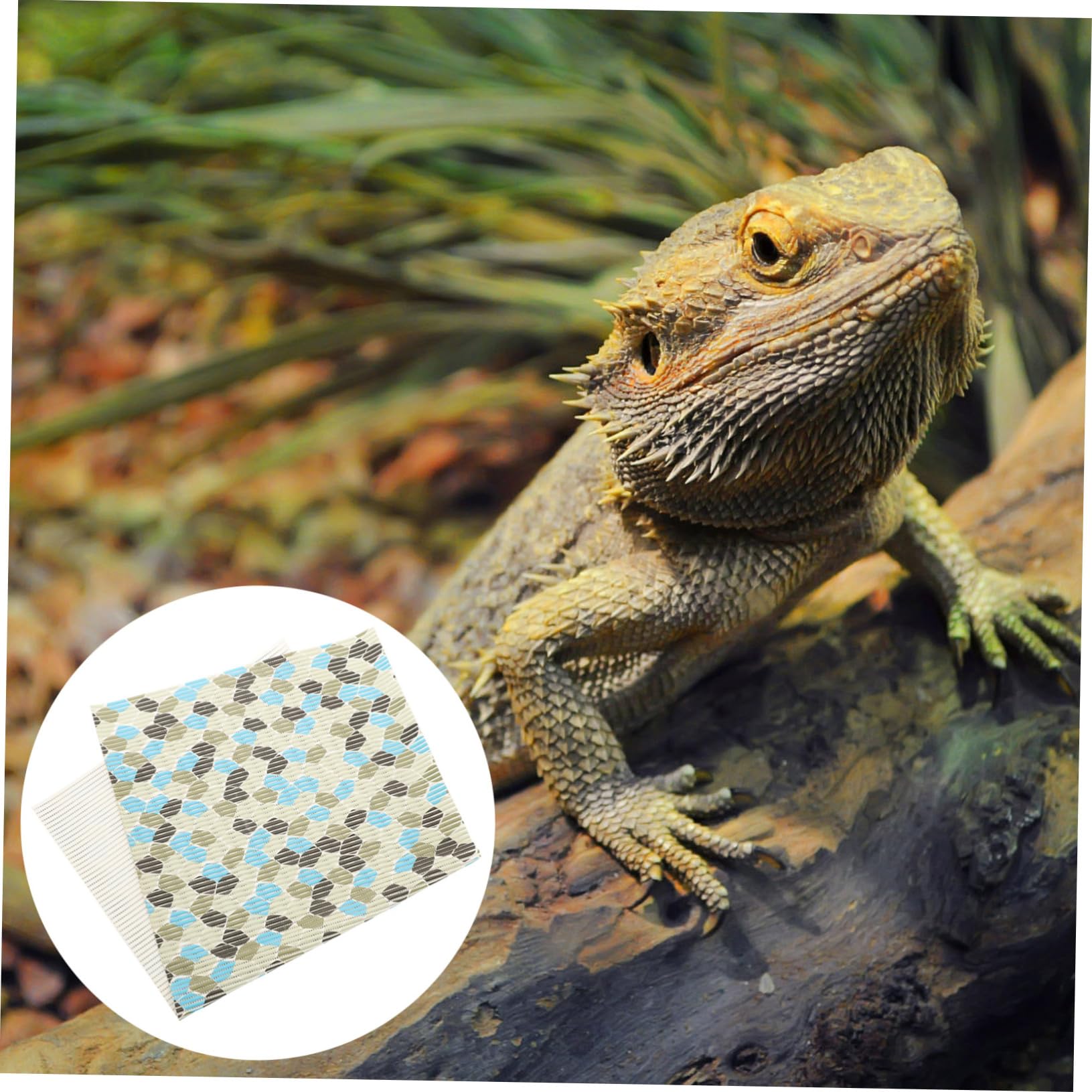 Tappeto Terrario Rettili Riutilizzabile in Poliestere | Tartarughe e Serpenti, Formato per Terrari e Gabbie, Accessori per Terrario Rettili
