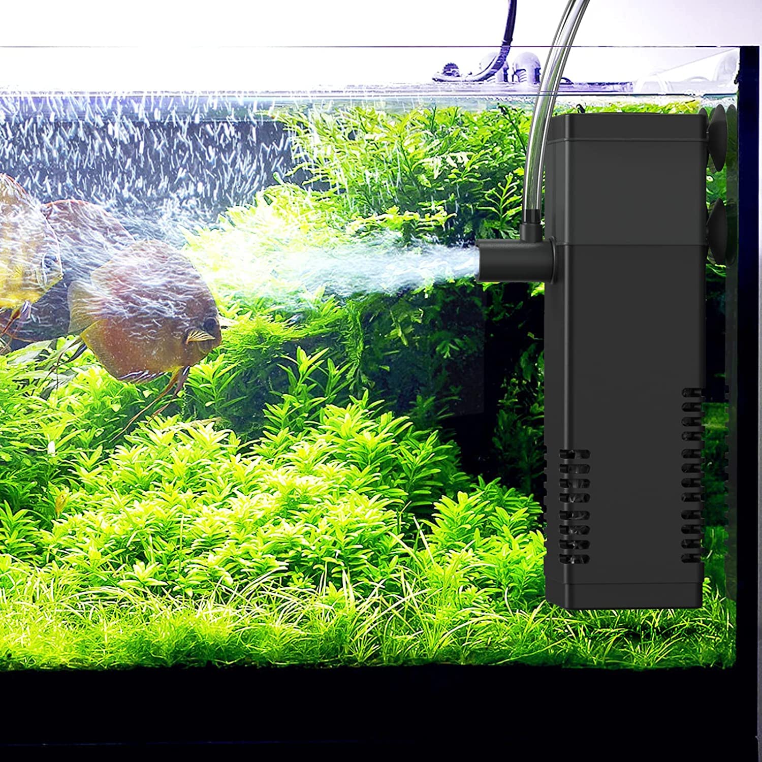 SANSEFERO Premier Plants Aquarium Submersible Filter Rs-1000F Pump For 1 Feet /1.5 Feet / 2 Feet Aquarium (B0BTTLV23Z) Amazon Price History, Amazon Price Tracker