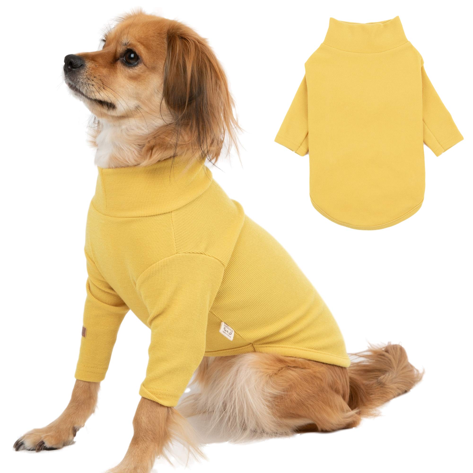 Do Dogs Hate Sweaters