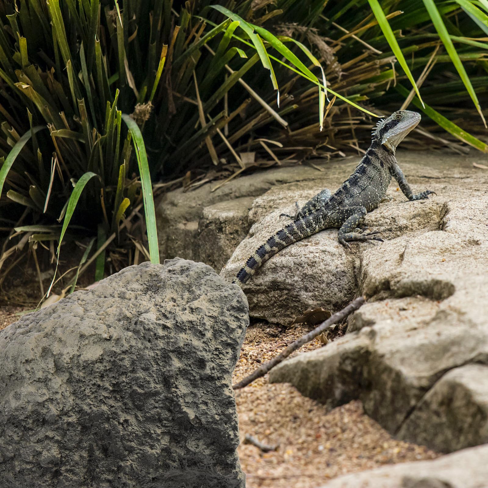 Reptilienunterkunft aus Kunstharz als Leichte Höhle für Wasserschildkröten | Dekoratives Terrarium, Multi Funktional Einsetzbar, Versteck für Terrarium Deko, Naturgetreue Form