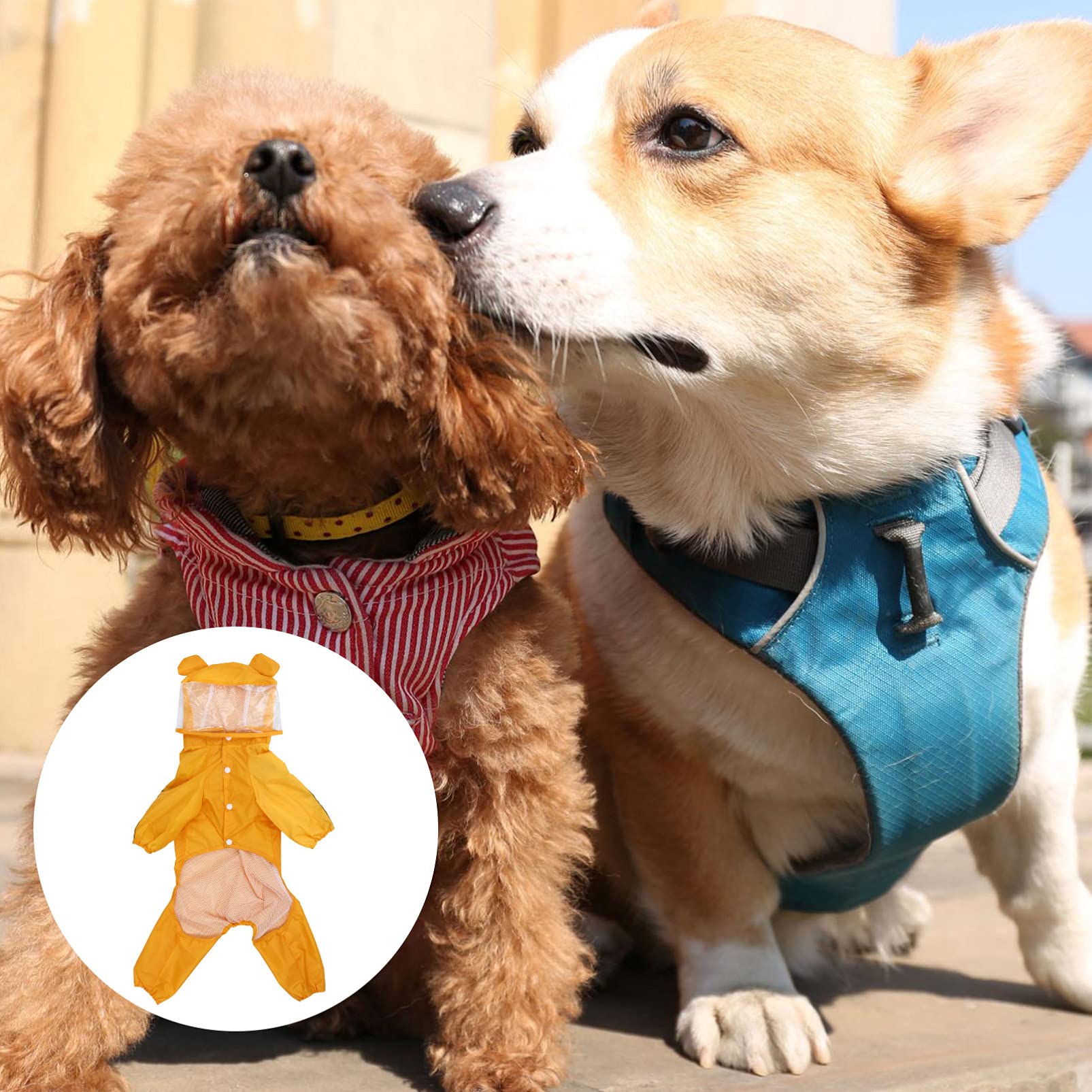 Zerodeko 3pièces Manteau De Pluie pour Chien Étanche à Capuche Design Abeille Vêtement Stylé pour Petits Et Moyens Chiens pour Jours De Pluie