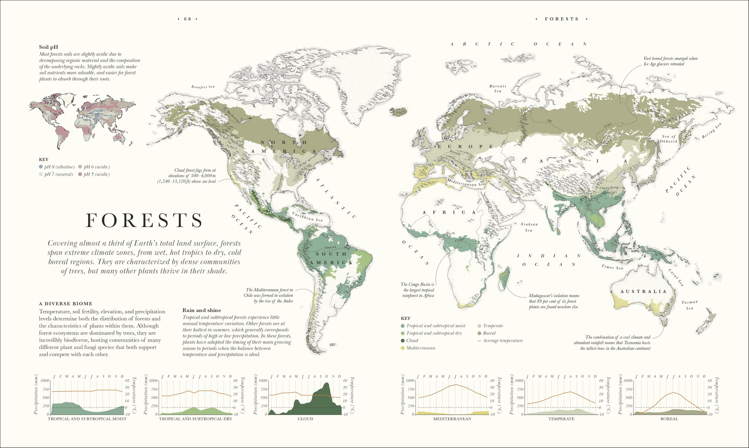 Atlas of Botany: An Exploration of Plants Across Time and Around the World