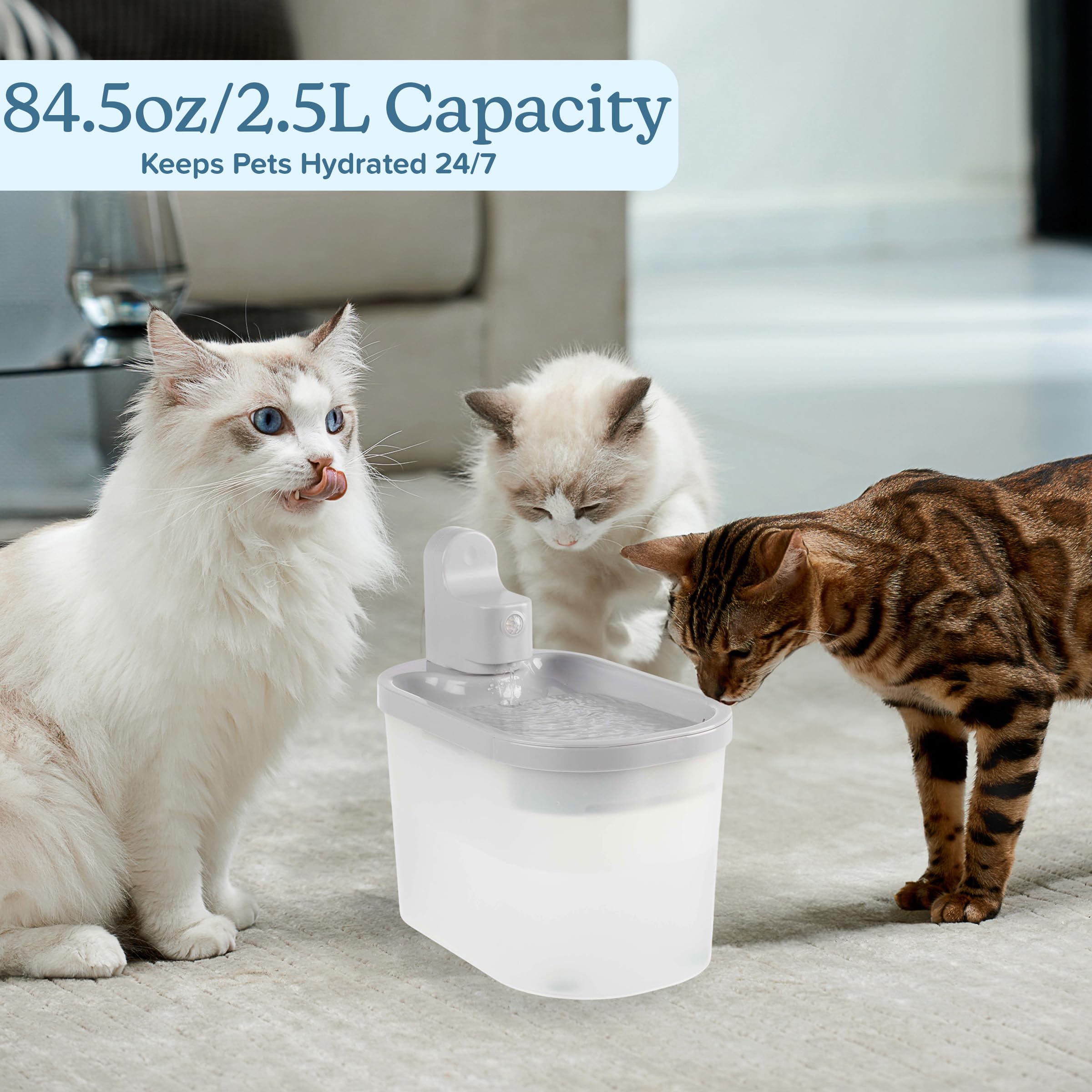 8-Quart Digital Air Fryer