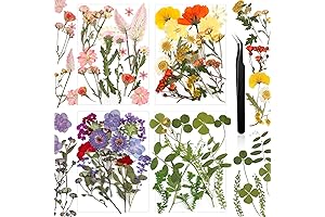 Nuanchu Flat Flowers for Crafts: Vibrant Blooms for DIY Creations