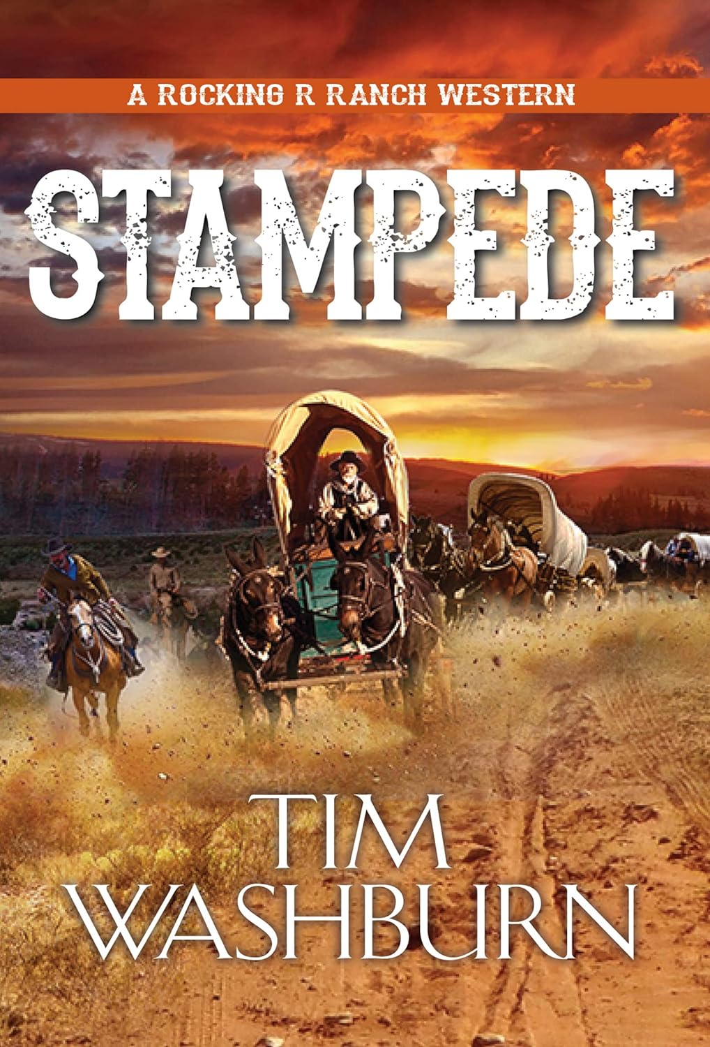 Stampede (A Rocking R Ranch Western Book 3) Kindle edition by Washburn, Tim. Literature