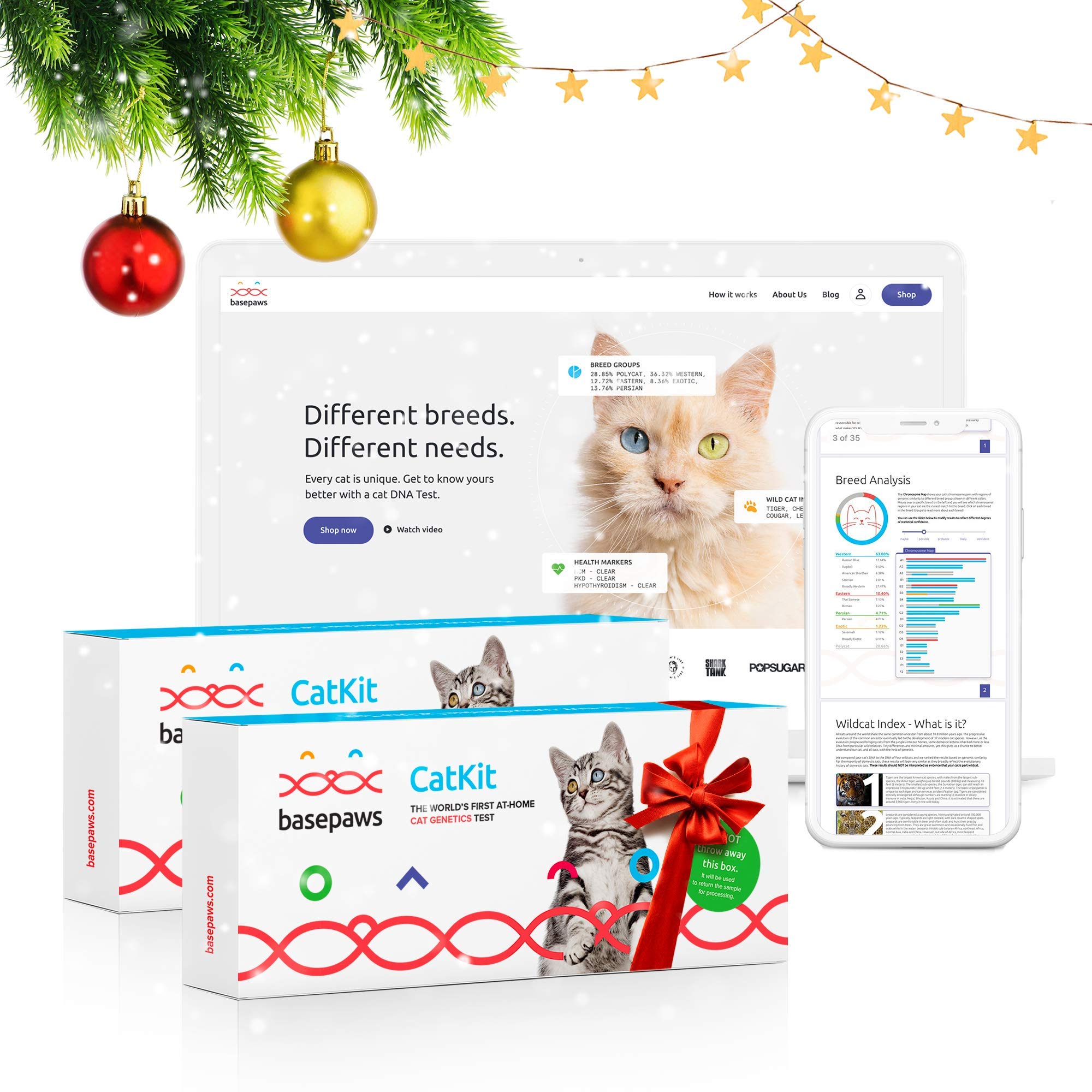 Basepaws Cat DNA Test Kit 2 Pack- Comprehensive Breed, Health and Dental Analysis Across 114 Traits for Accurate and Easy-to-Use Genetic Insights