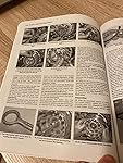 Review Image by Diabeetus Diabeetus