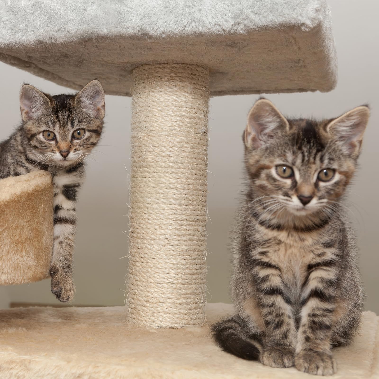 Snapklik.com : 164 Feet Sisal Rope For Cat Scratching Post, Natural Cat ...
