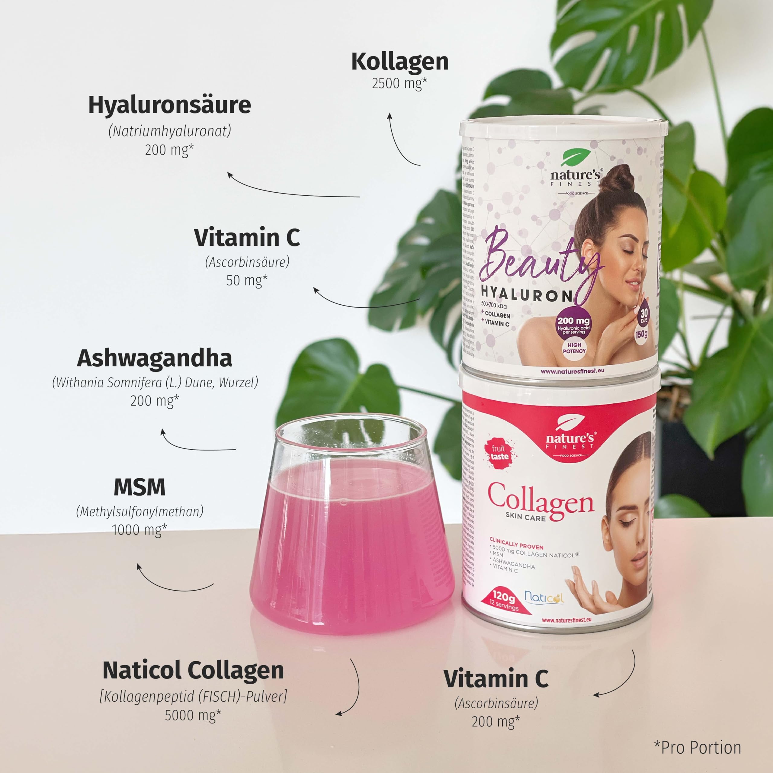 Nature's Finest by Nutrisslim Collagen Skincare + Beauty Hyaluron - Hochdosiertes Fischkollagenpulver mit Hyaluronsäure und Vitamin C, MSM - Unterstützt gesunde Haut und kräftige Haare, Nägel