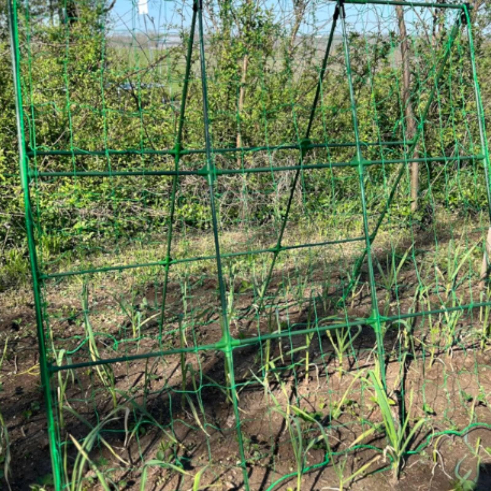 rockible Traliccio da Giardino Versatile Traliccio da Esterno Componibile Supporto Rampicante per Giardinieri, Specifica 2