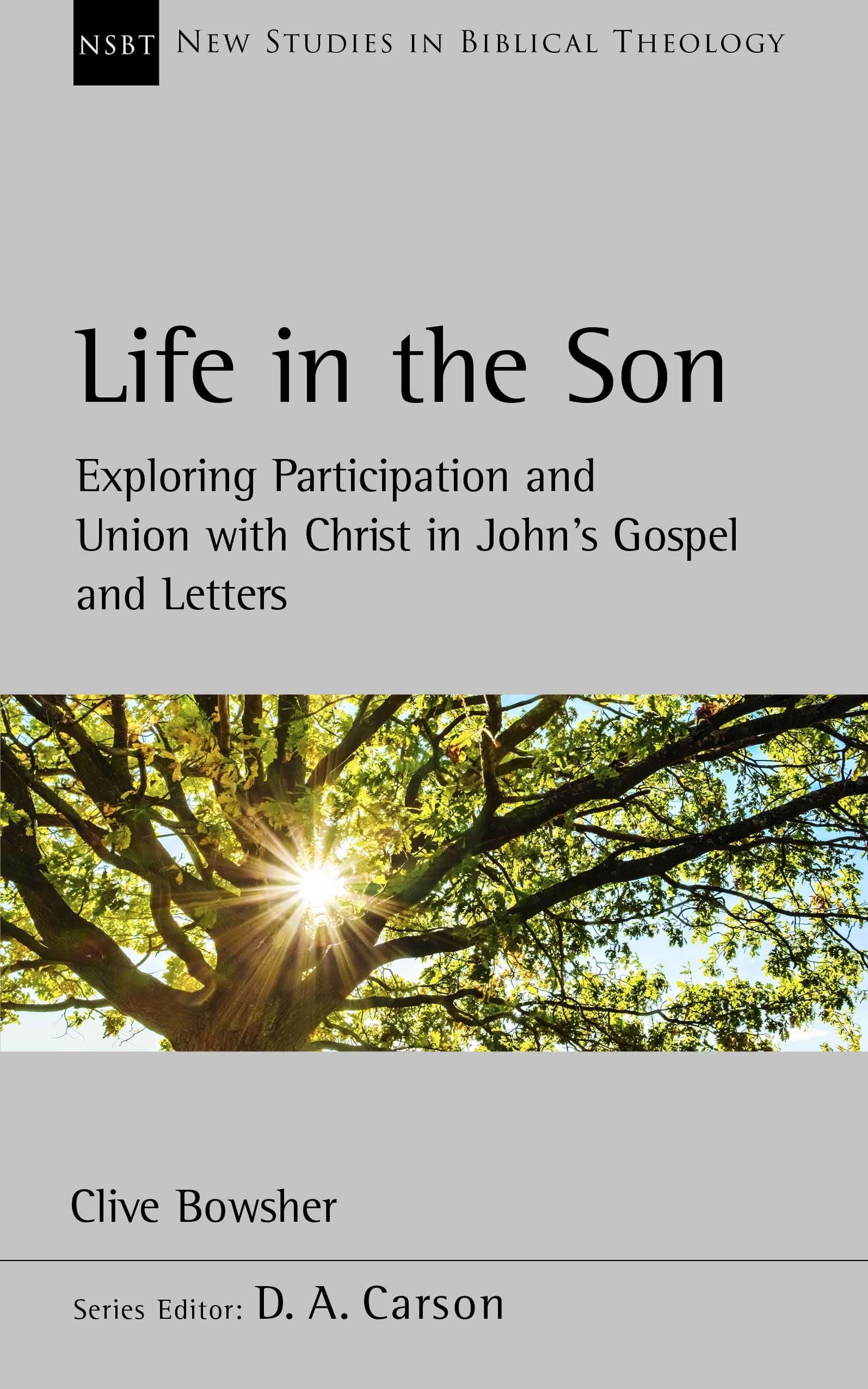 Life in the Son: Exploring participation and union with Christ in John’s Gospel and letters (New Studies in Biblical Theology)