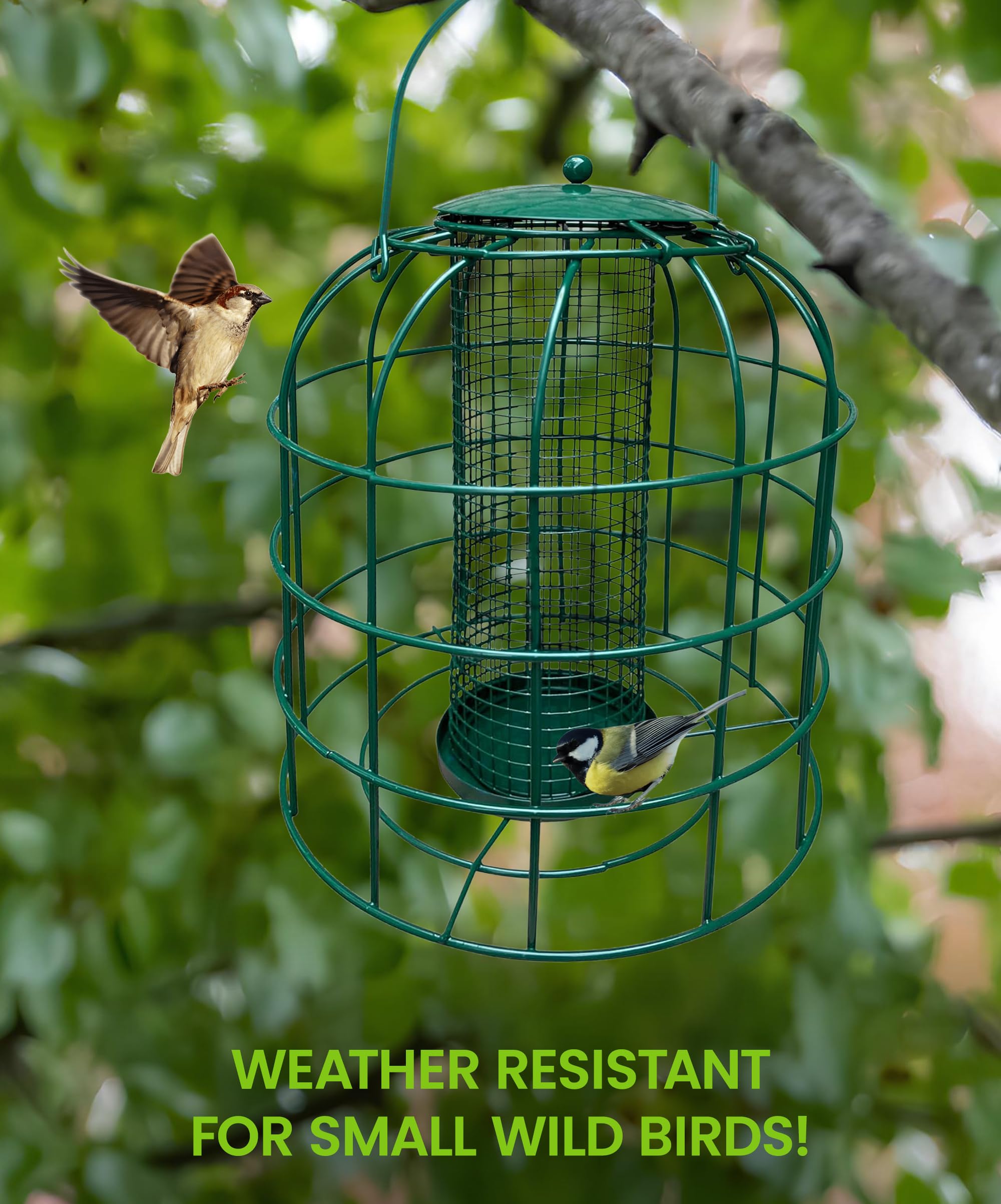 Tooltime Squirrel-Proof Bird Feeder – Hanging, Metal, 3-Pack For Seeds & Peanuts